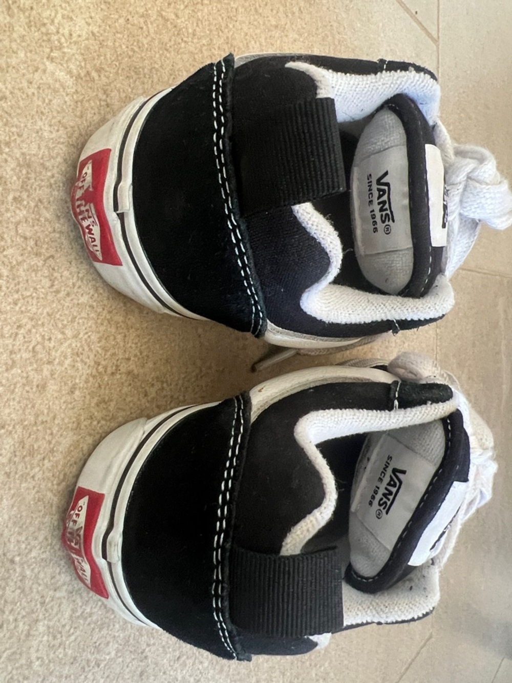 Black Lacoste Sneakers & Black/White Vans-Style Low Tops - Picture 4 of 11